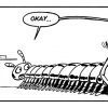 comic-2007-12-28-A-millipede-with-elevated-feet.jpg