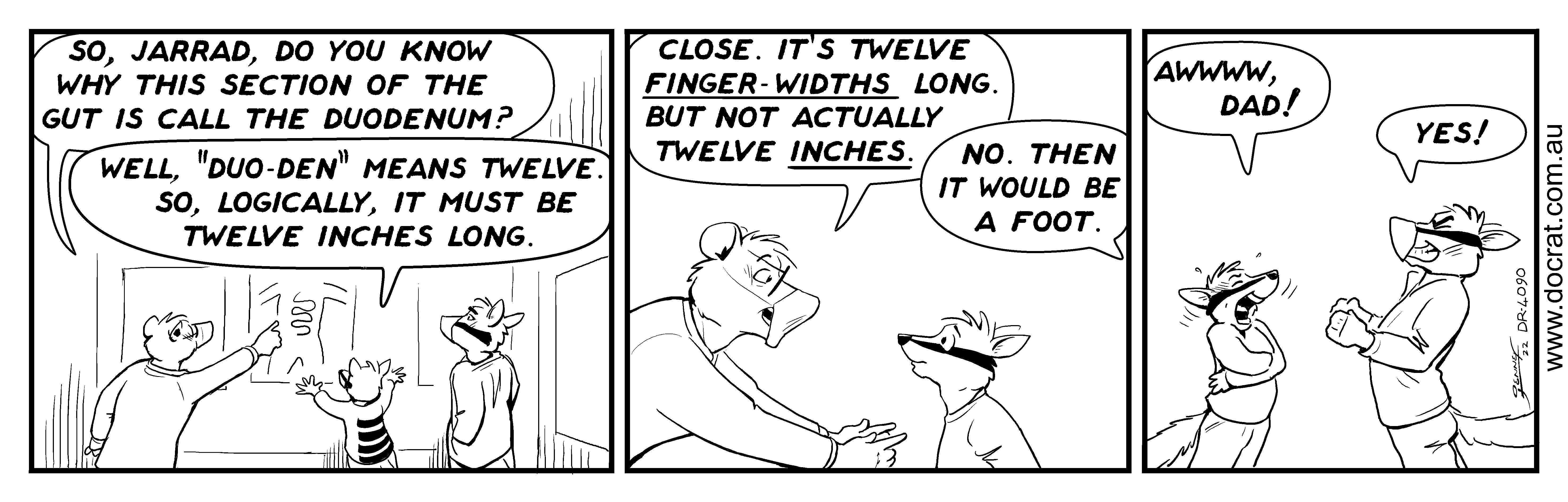 Craze Anatomy Doc Rat A Daily Comic Strip By Jenner